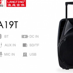 Temeisheng A19T bluetooth колонка 12″ два мікрофони
