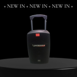 Temeiesheng SL 12-32 Доповідач 12 ″ 2Microphone