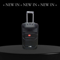 Temeisheng SL 15-31 Tynamik 15 ″ 2 мікрофон 240 Вт
