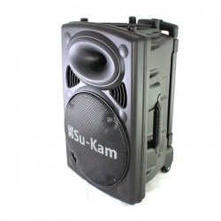 Портативна колонка Su-Kam BT 150D + 2 мікрофони 12v\220v (1)