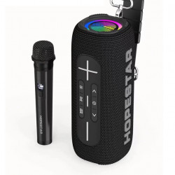 Колонка Hopestar P32 MAX 