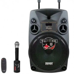 Acoustics Temeisheng SL12-14 MIC.2pc (12 дюймів)