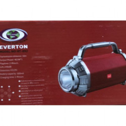 Ліхтар RT-892 EVERTON з радіо