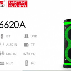 Temeisheng 6620a Bluetooth Колонка 2*6,5 ″ Два мікрофони