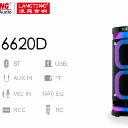Temeisheng 6620d стовпчик Bluetooth 2*6,5 ″ Два мікрофони