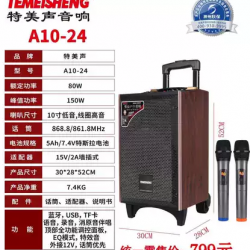 Temeisheng A10-24 Blutuz Congle Dynamic 10 ″ 2 мікрофон