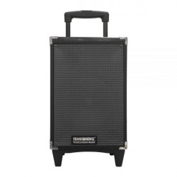 Temeisheng A8-2t Blutuz Congle Dynamic 8 ″ smicrophone