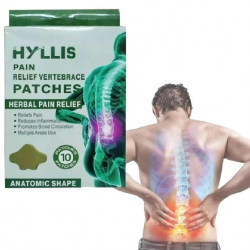 Пластырь спина для снятия боли в СПИНЕ pain Relief neck Patches уп 10шт (600)