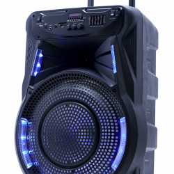 Акустична система Goldteller GT-6021