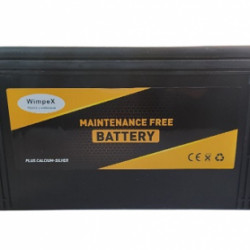 Акумулятор WX 100mf 12V 1штука